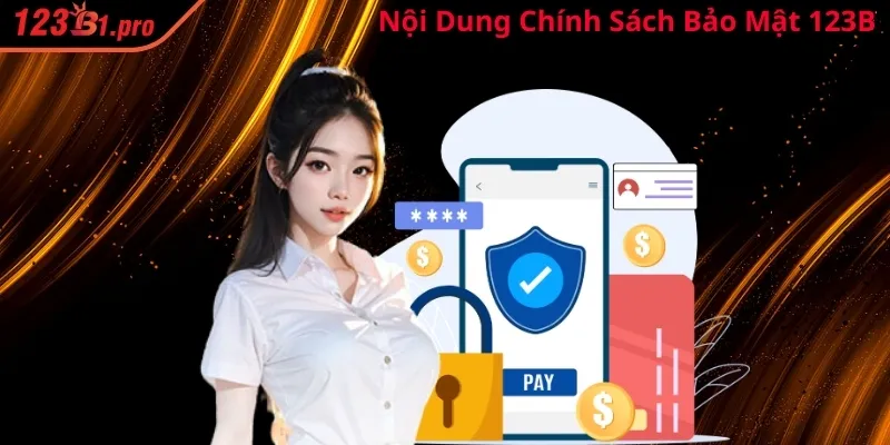 Nội dung chính sách bảo mật 123B