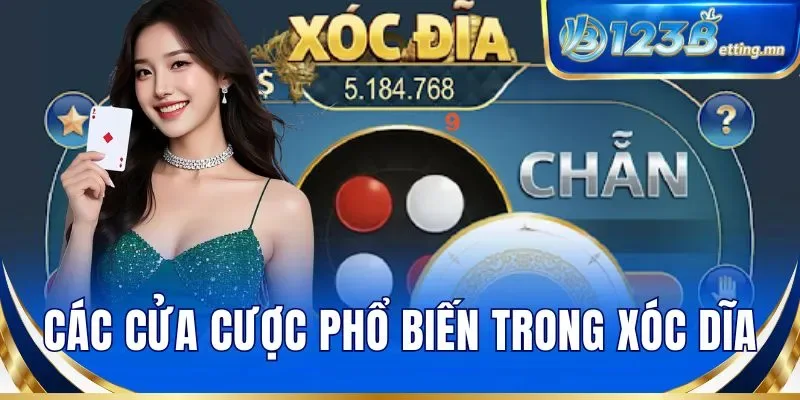 Các cửa cược phổ biến trong xóc dĩa