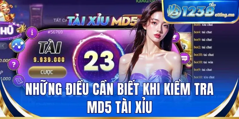 Những điều cần biết khi kiểm tra MD5 tài xỉu